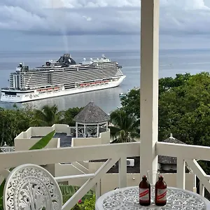  Apartment Hummingbird Retreat - Luxury Oceanview Apt, 7-minute Walk To Jamaica